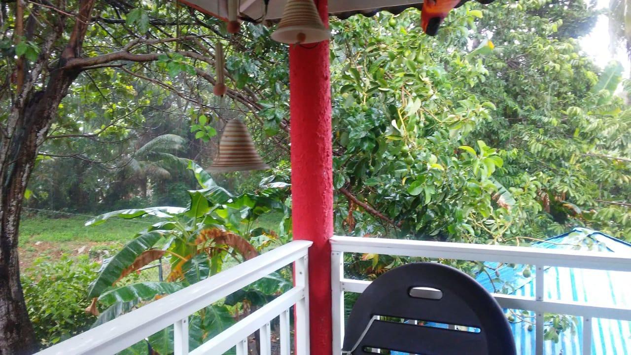 Posada Nativa Licy San Andrés المظهر الخارجي الصورة