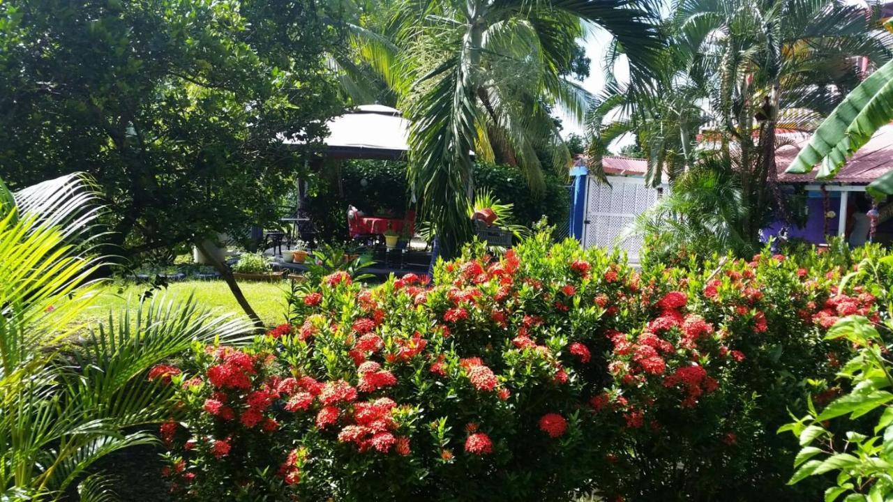 Posada Nativa Licy San Andrés المظهر الخارجي الصورة