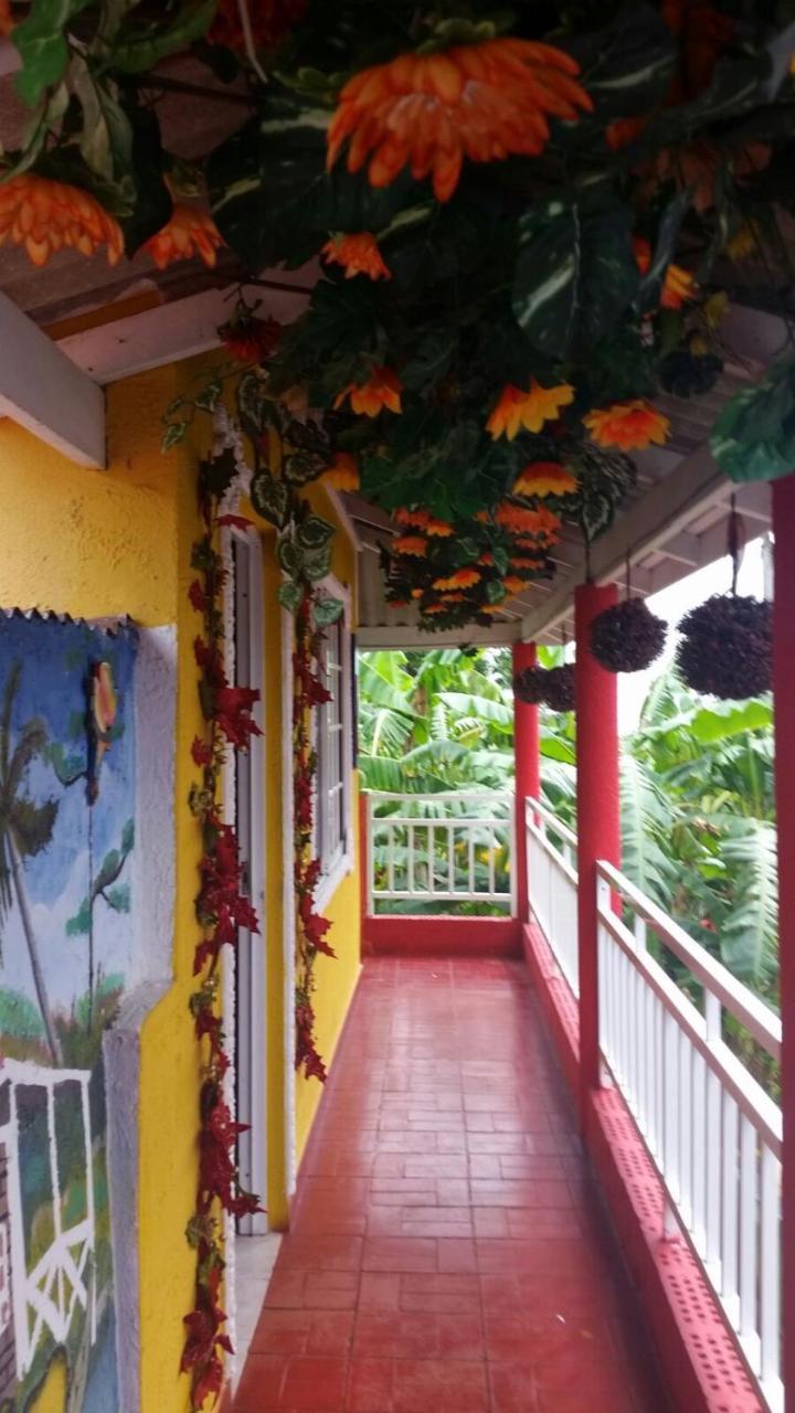 Posada Nativa Licy San Andrés المظهر الخارجي الصورة